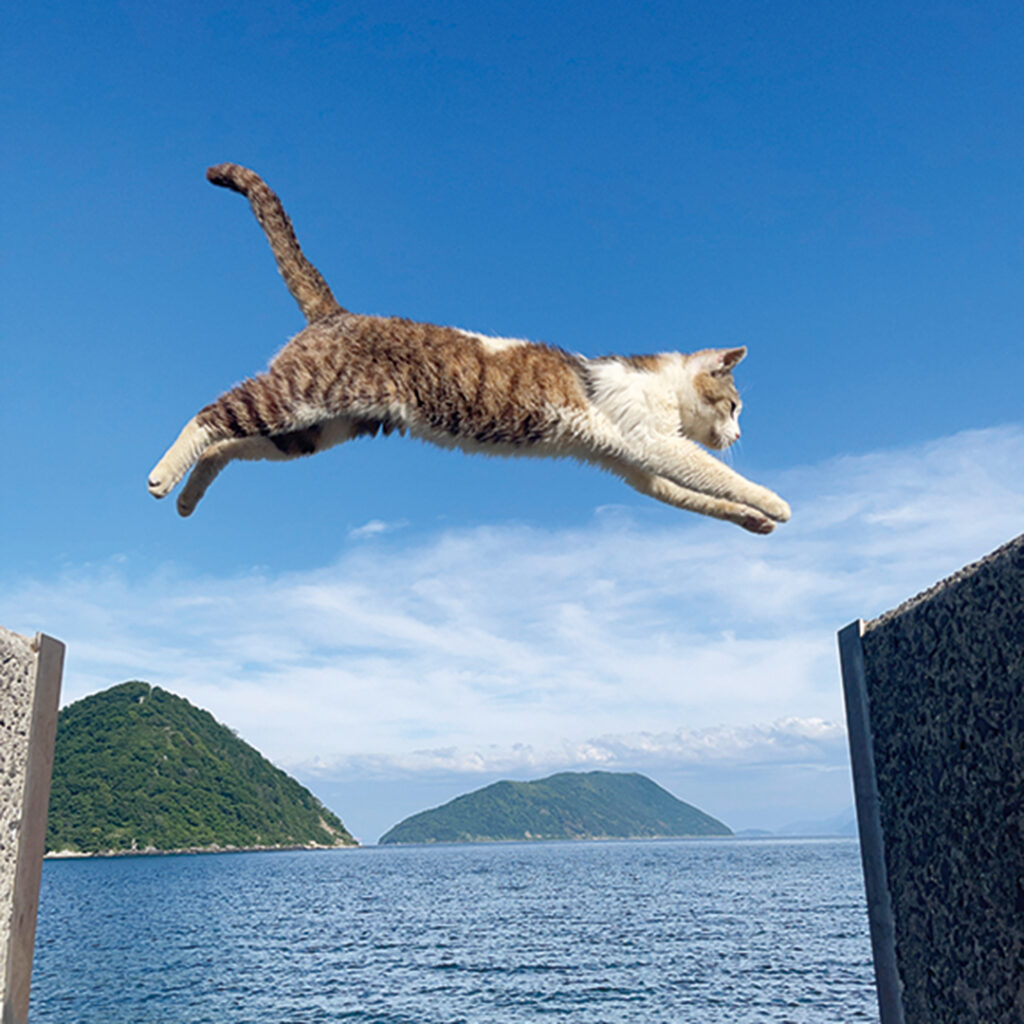 佐柳島