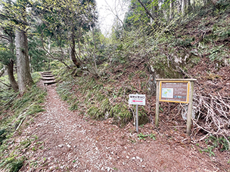 林道登山口まで下山