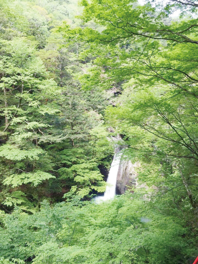 大釜の滝