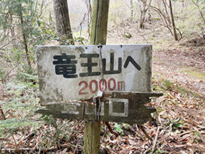 ここから本格的な登山開始