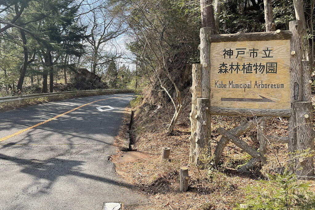 世界各地から約1,200種の樹木を集めた国内最大級の植物園「神戸市立森林植物園」。レクリエーションや森林浴、自然観察など、ゆったりとした時間を過ごせる。
