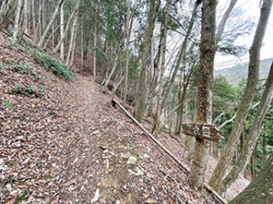 竜王山7合目を通過