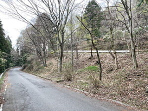 香川県道7号をひたすら歩く