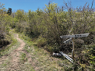 立山コースとの分岐点