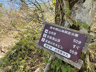 台所原分かれを通過