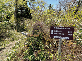 旧羅漢山山頂（標高1,334m）