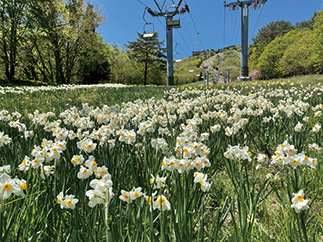 ゲレンデ脇の登山道