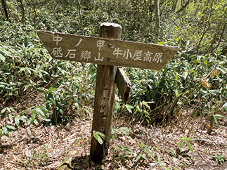 夏焼峠