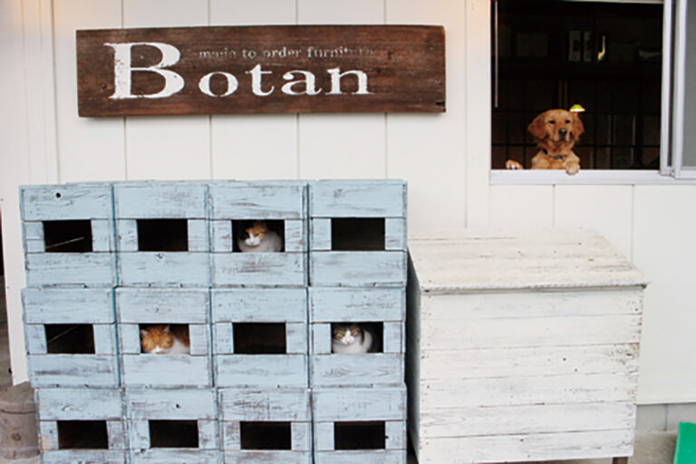 ボタン木工所・おかし工房 Botan