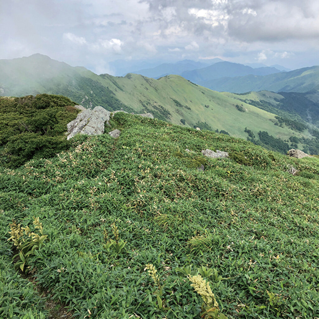 笹ヶ峰