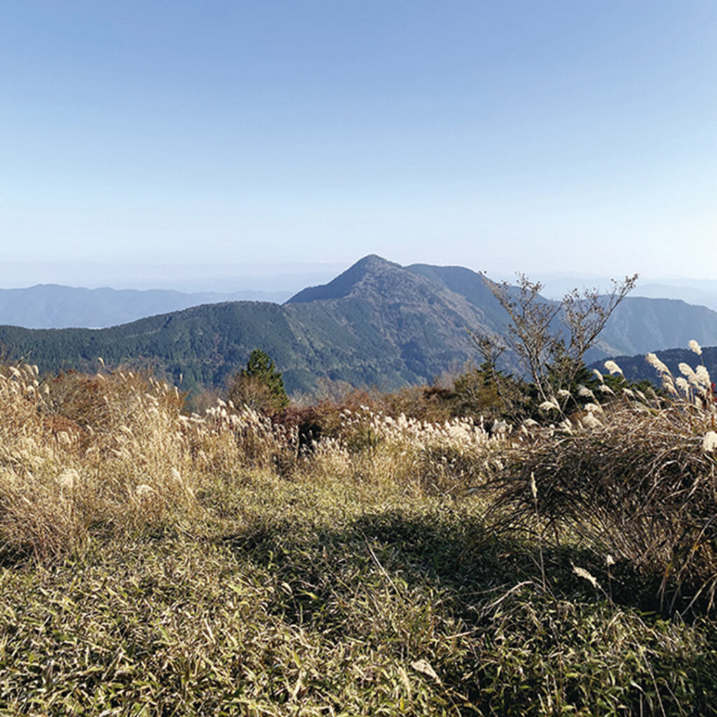 高月山