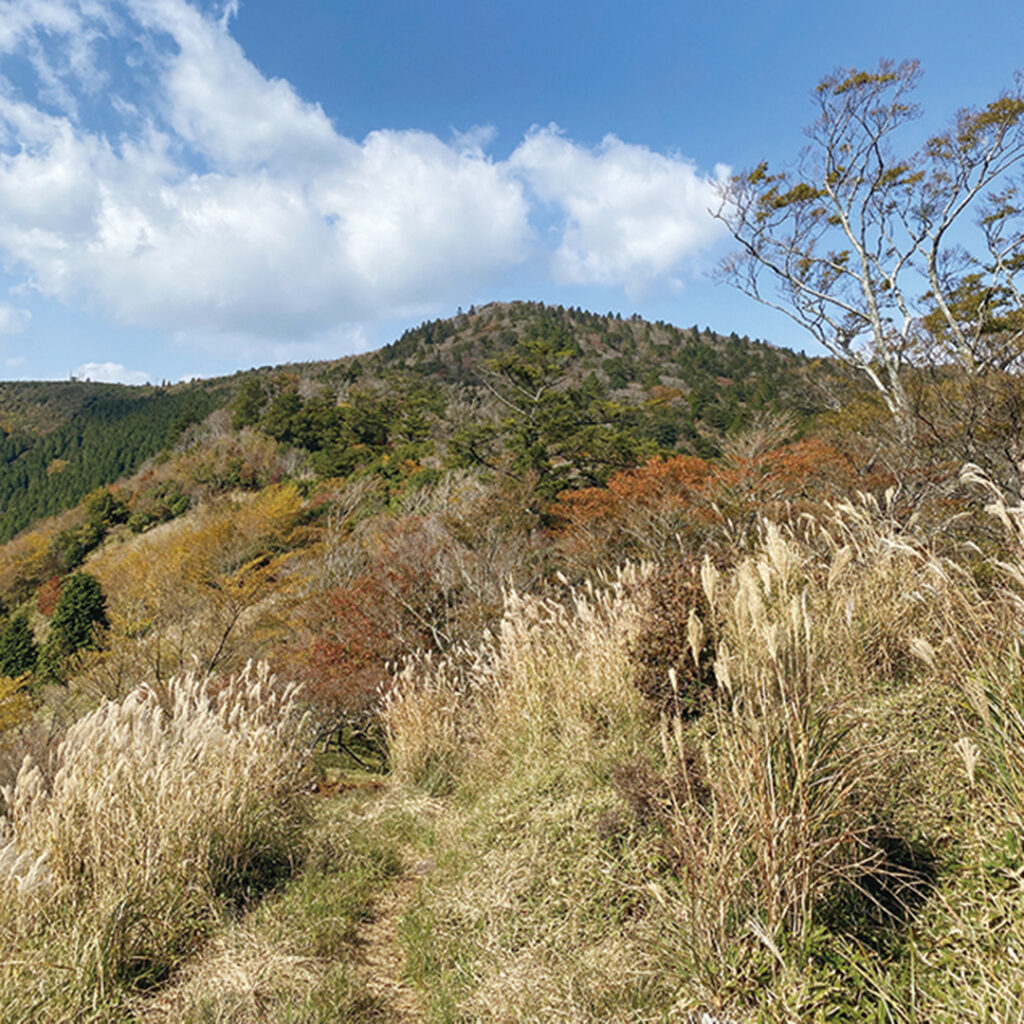 鬼が城山