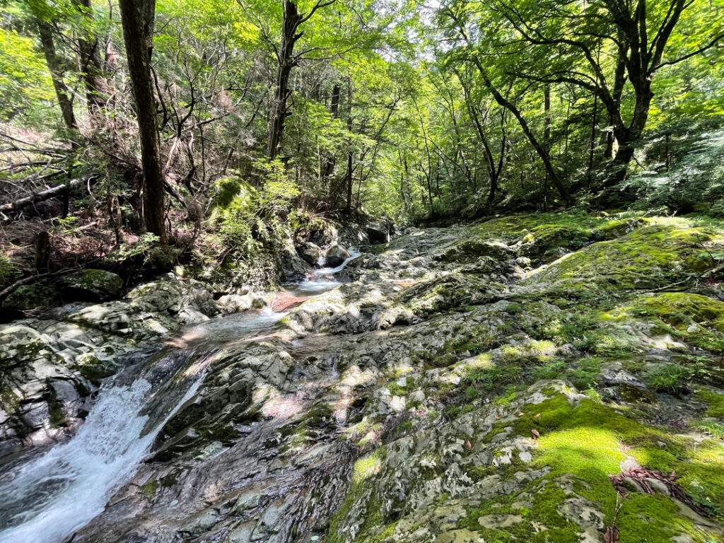 愛媛県の名山