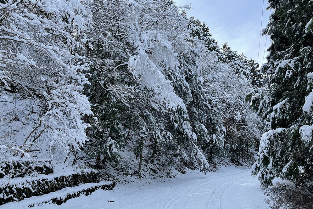 法皇スカイライン