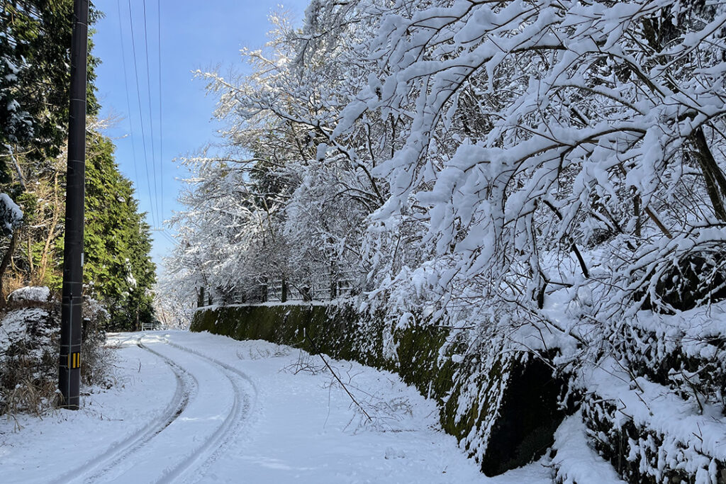 山の中を狭い舗装道路が延々と続く