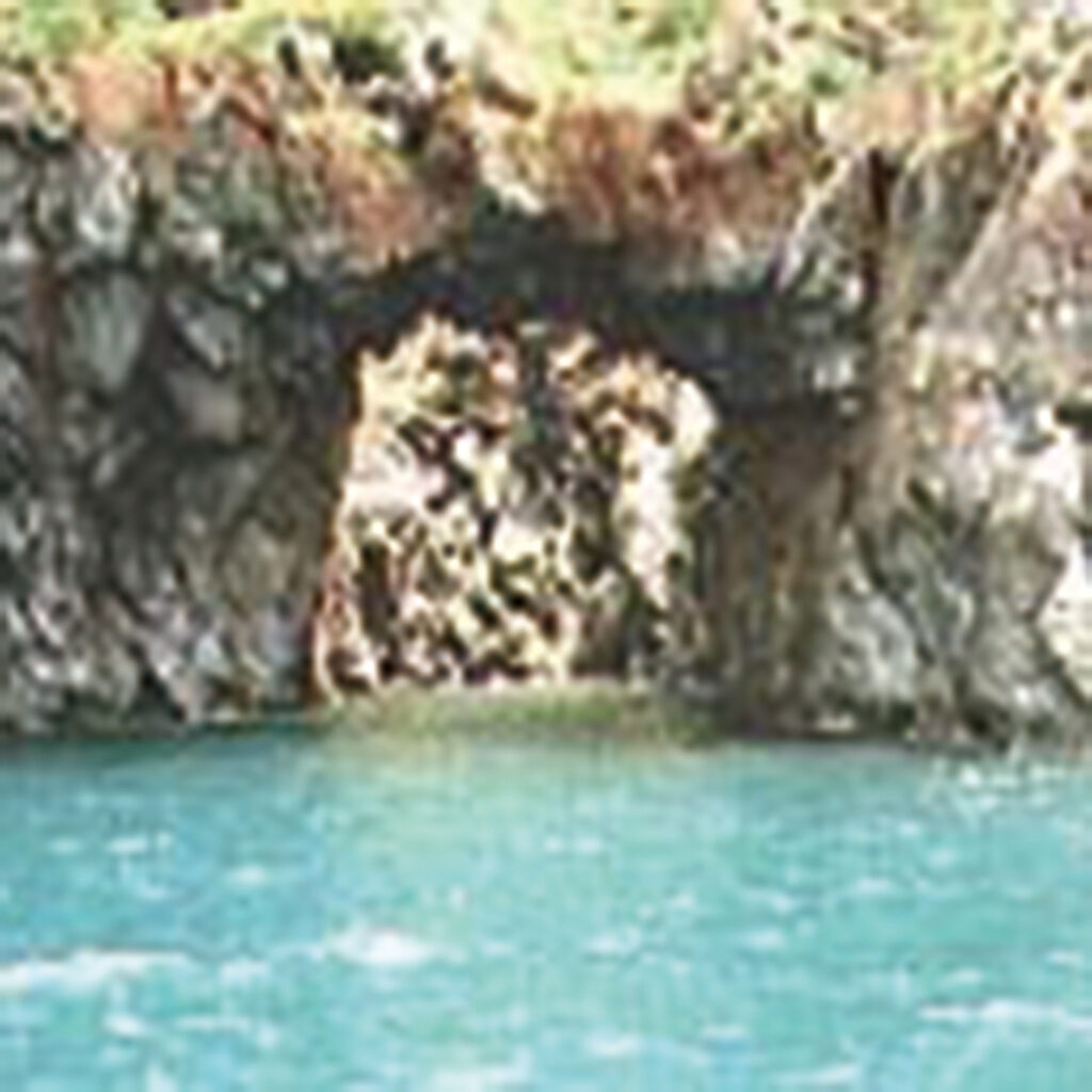 大島