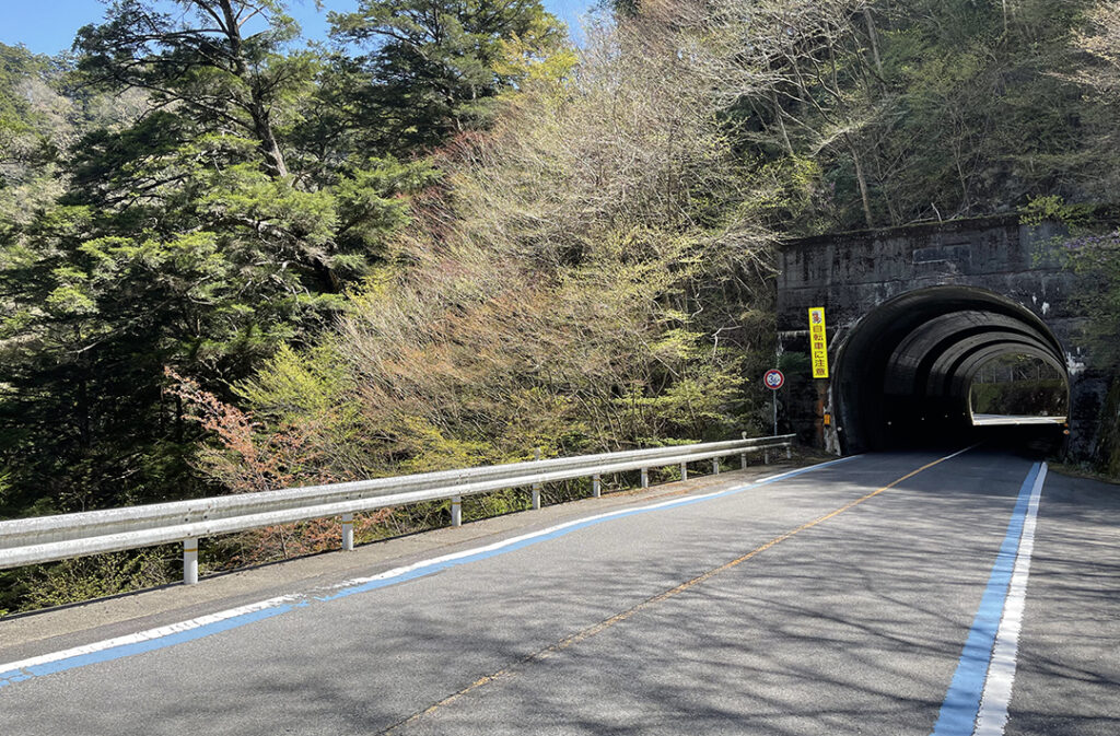 山頂まで登り坂が続く