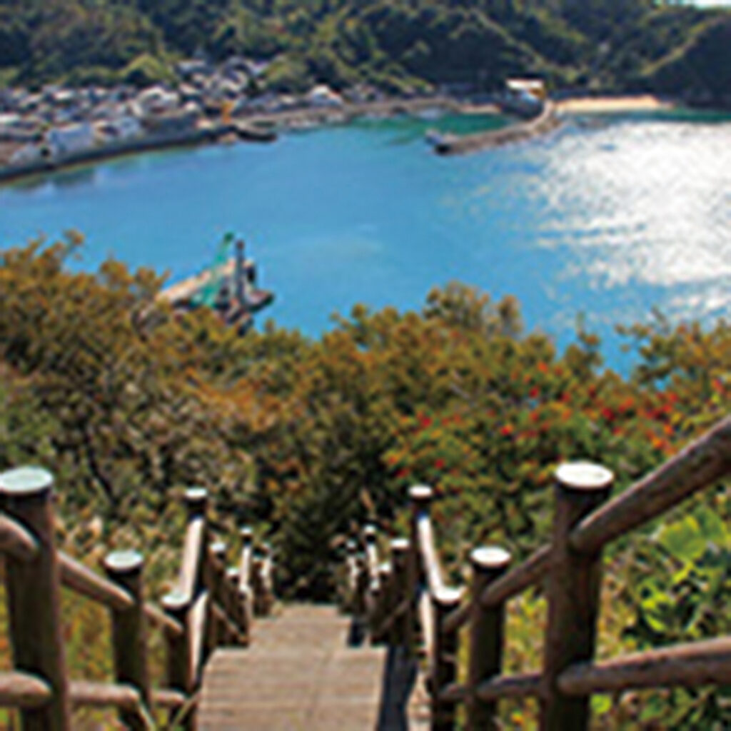 野忽那島