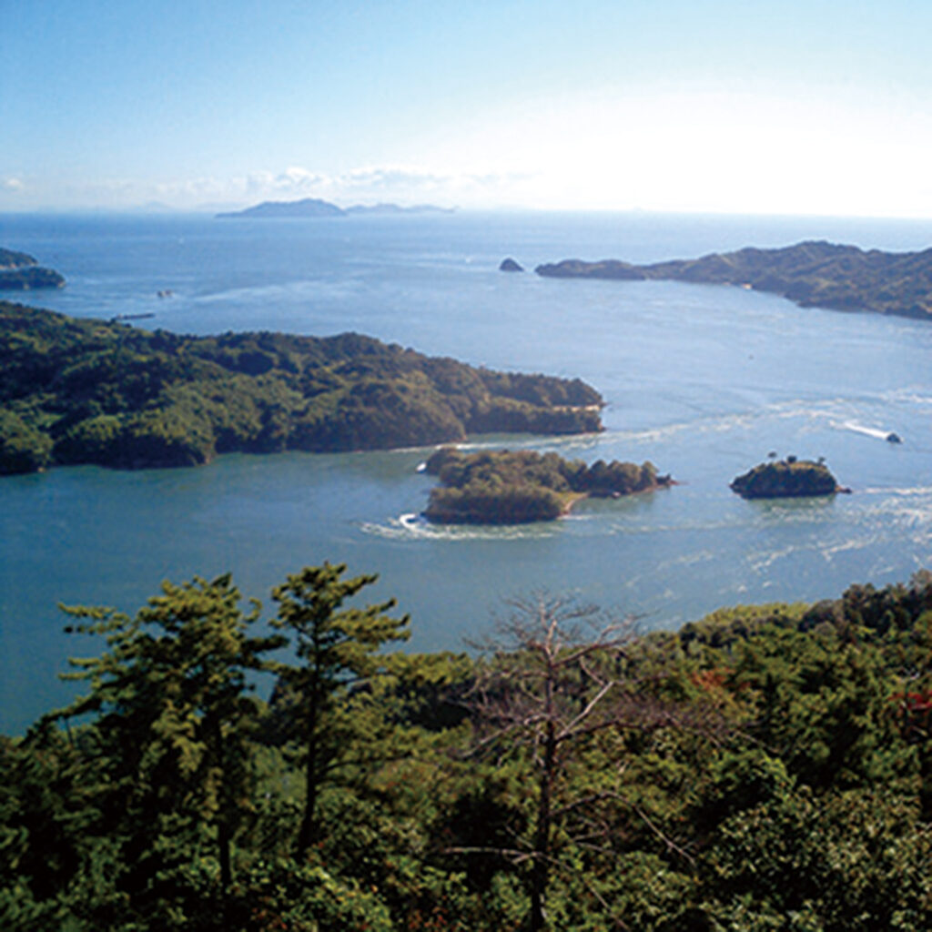鵜島