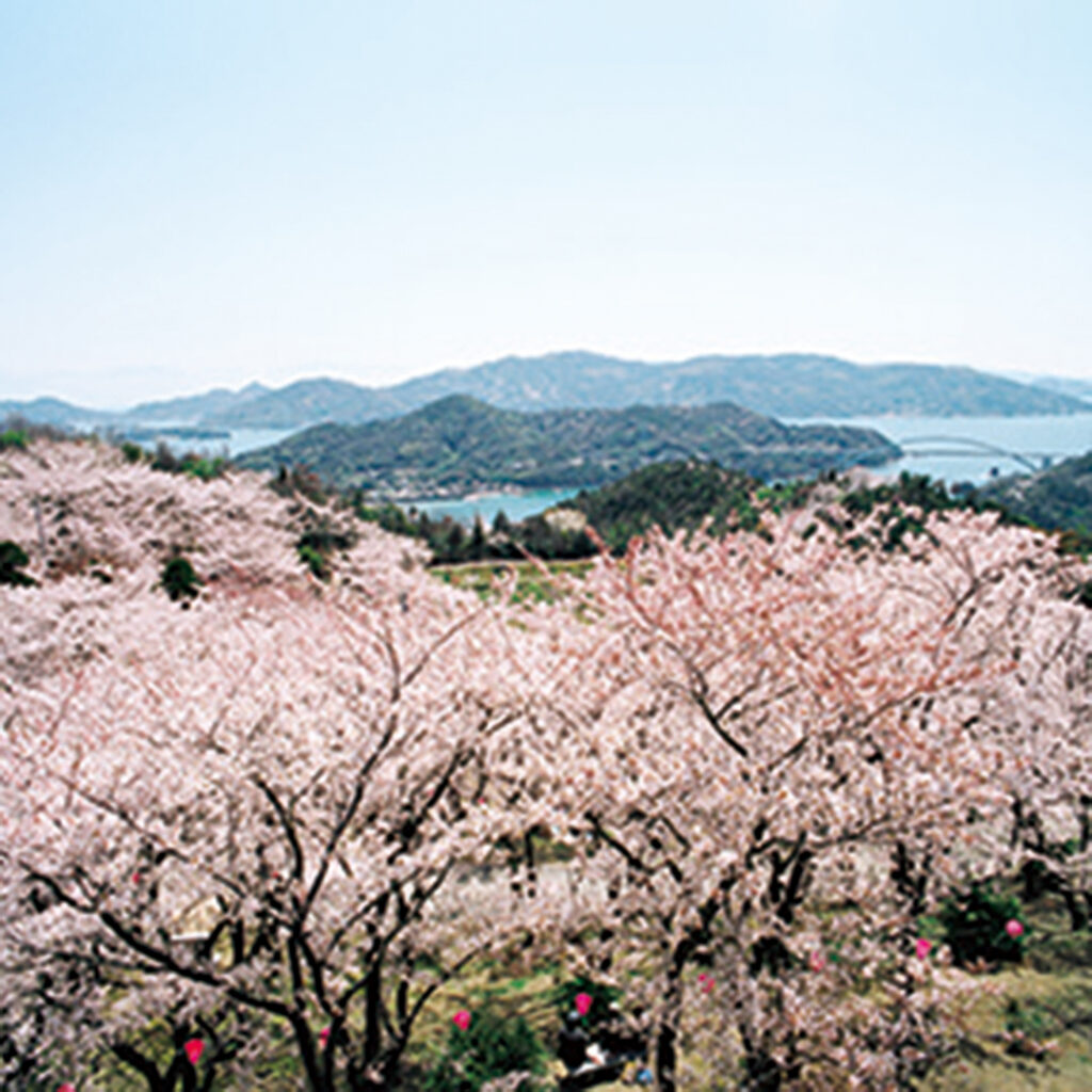 伯方島