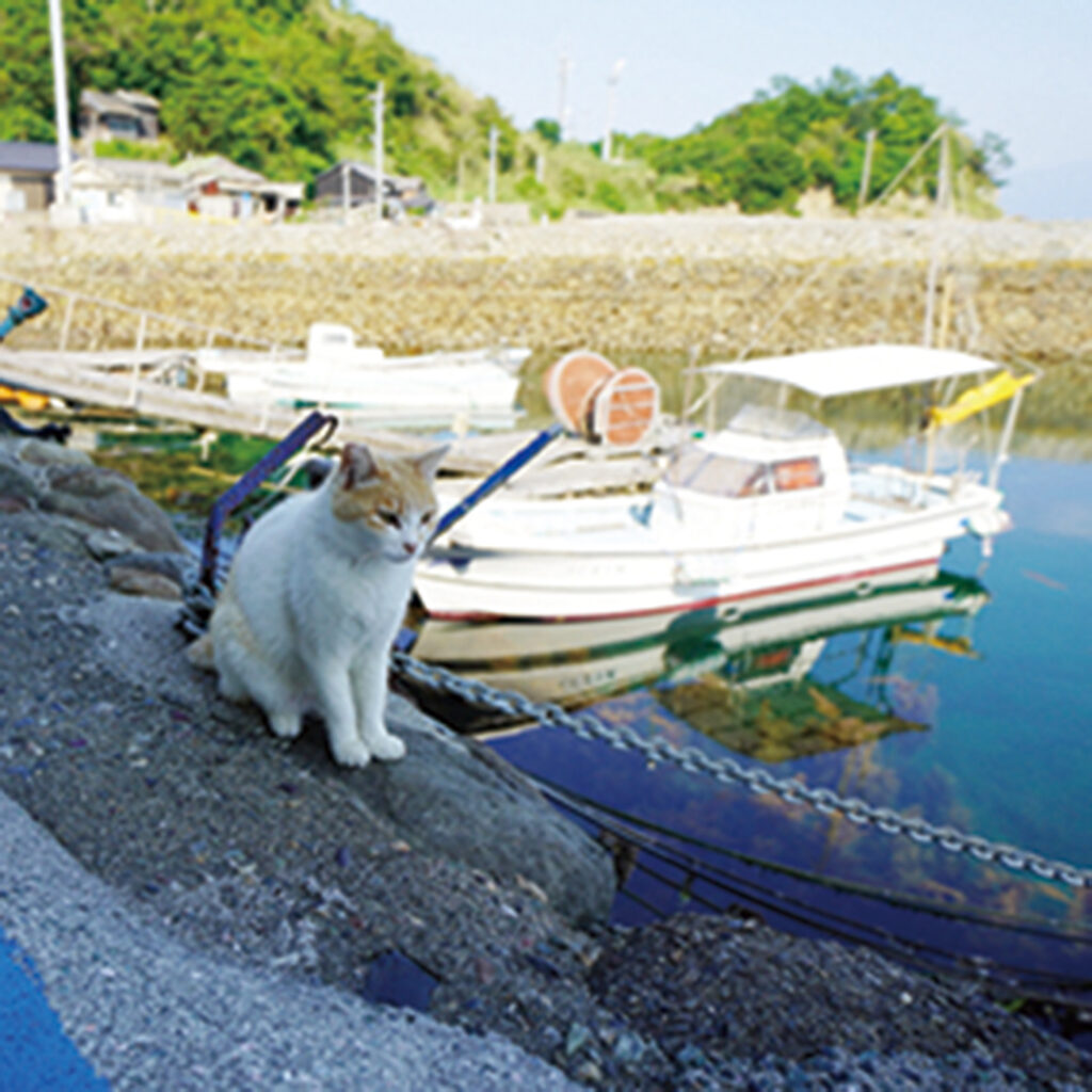 青島