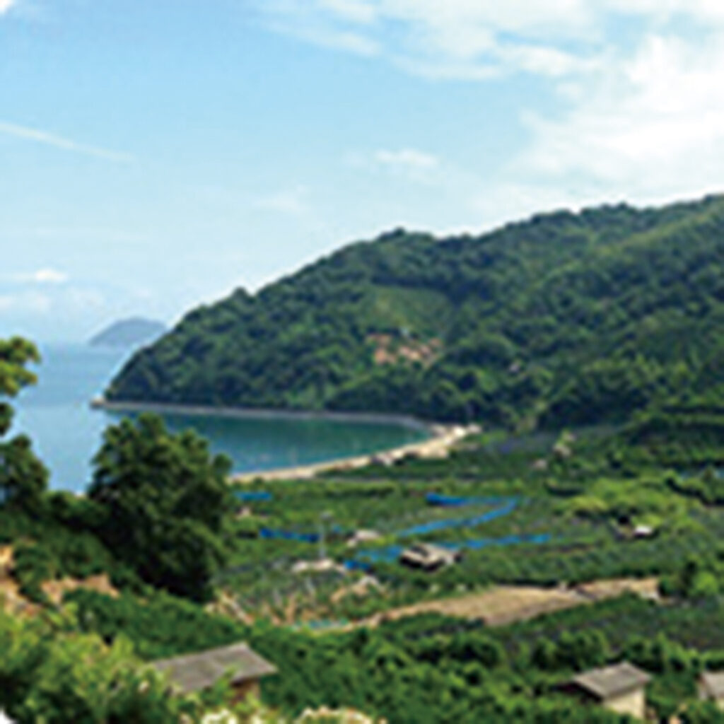 怒和島