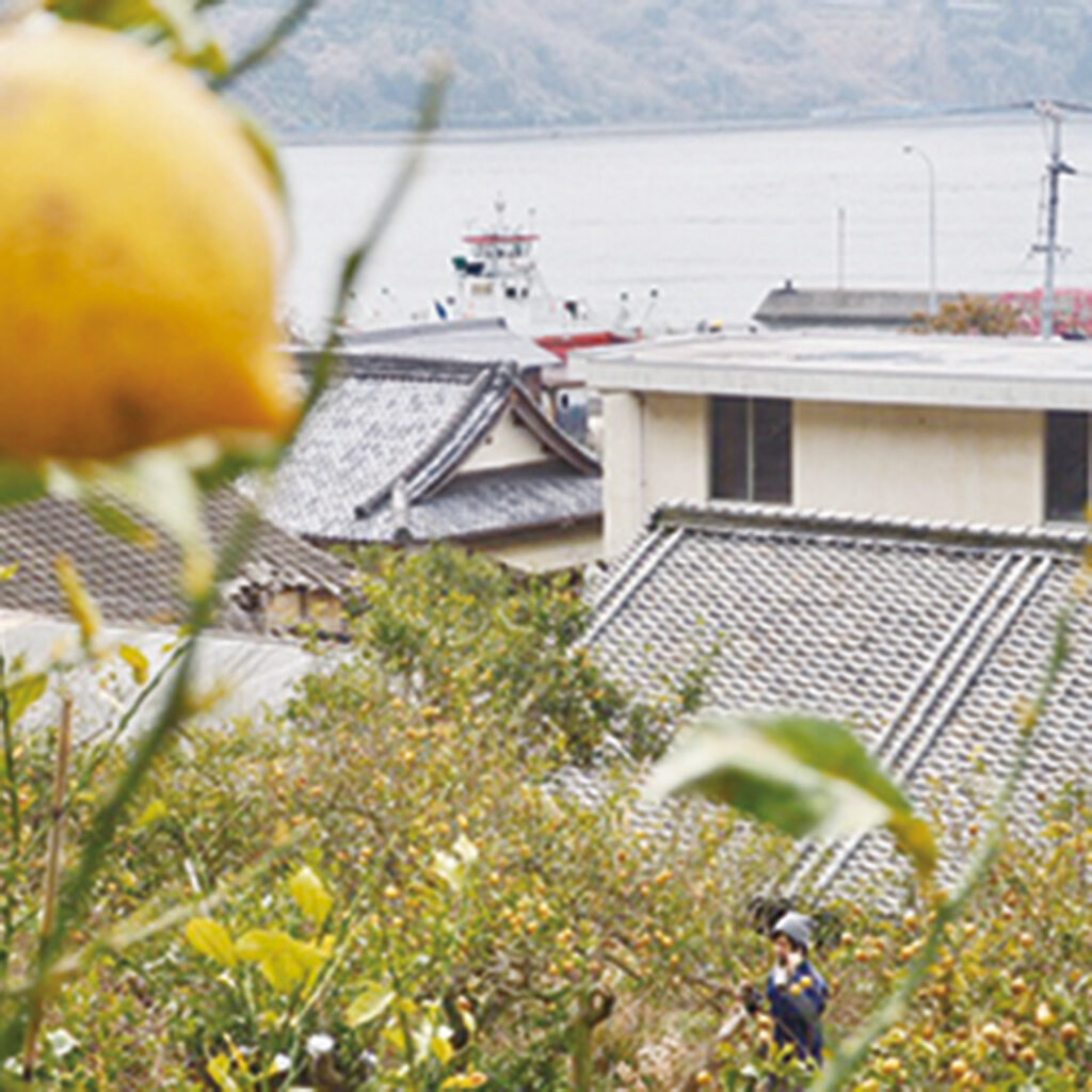 三角島