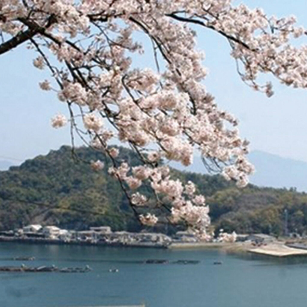 阿多田島