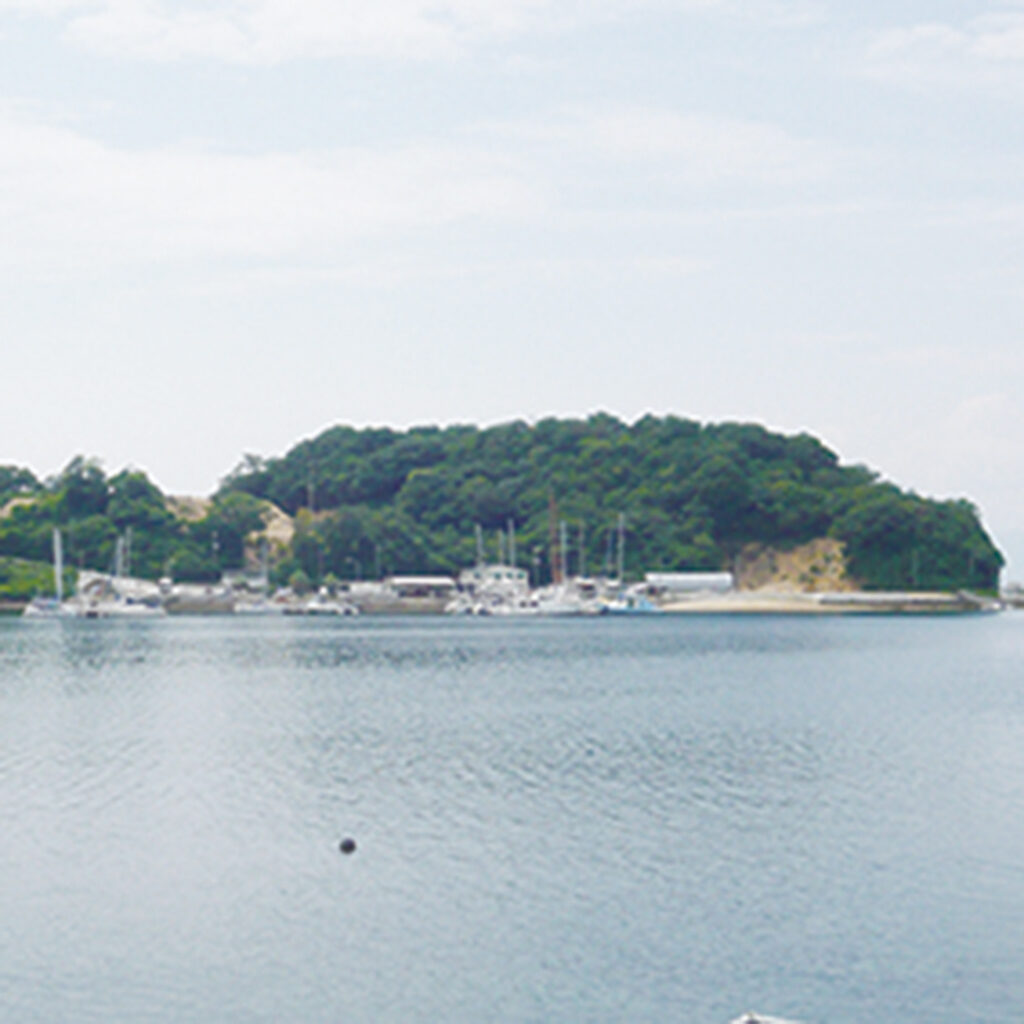 沖野島