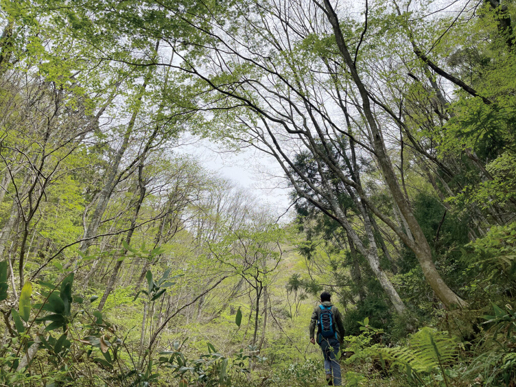 寂地山