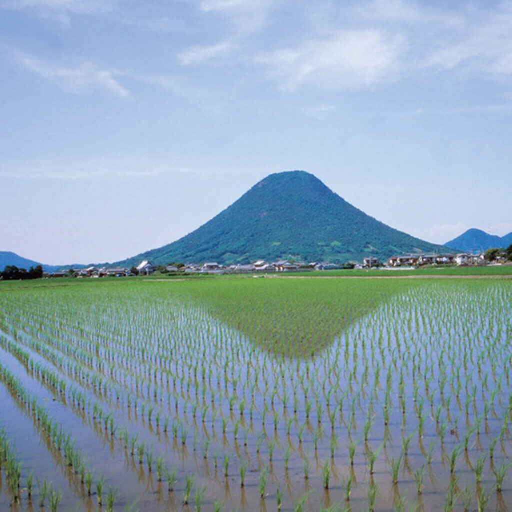 飯野山（いいのやま）