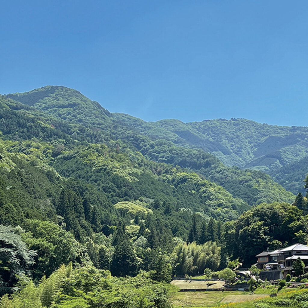 大川山（だいせんざん）