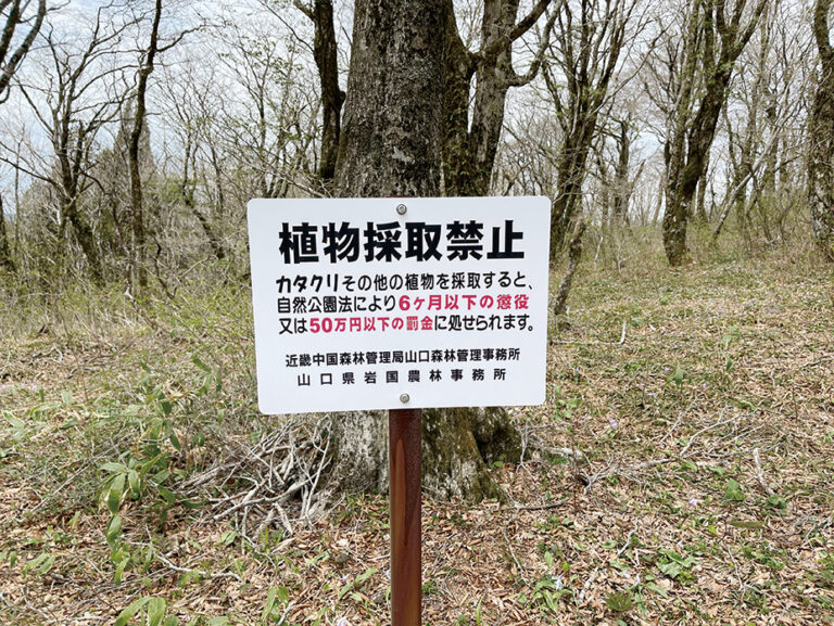 植物採取の看板