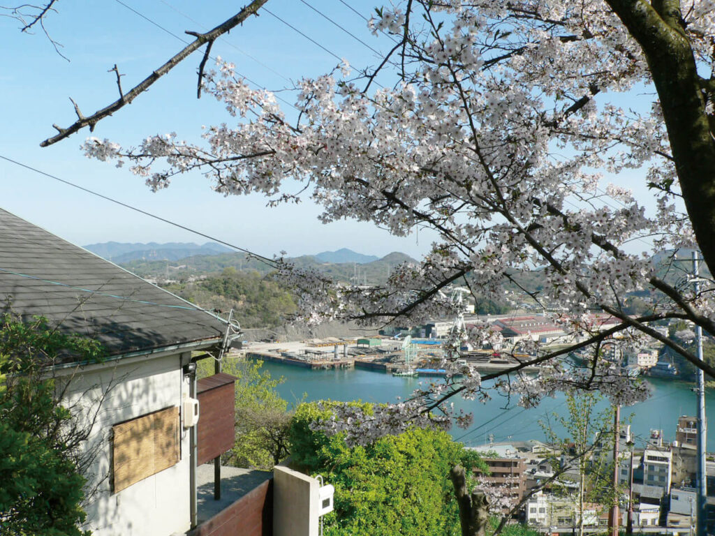 坂の風