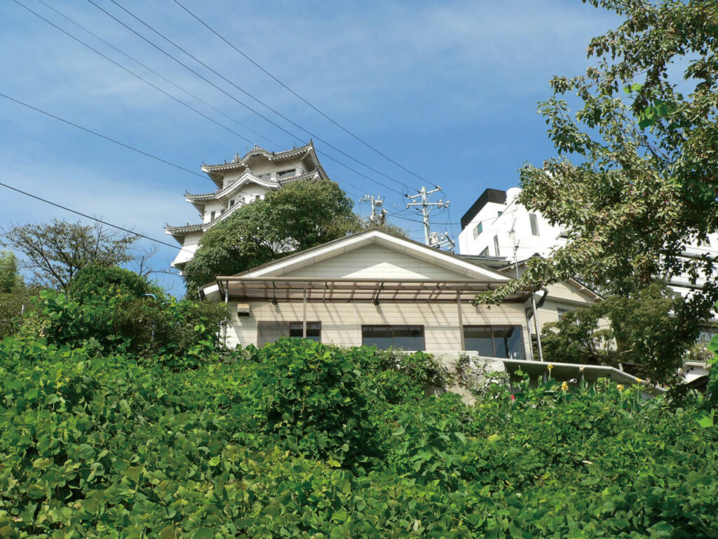 坂の風