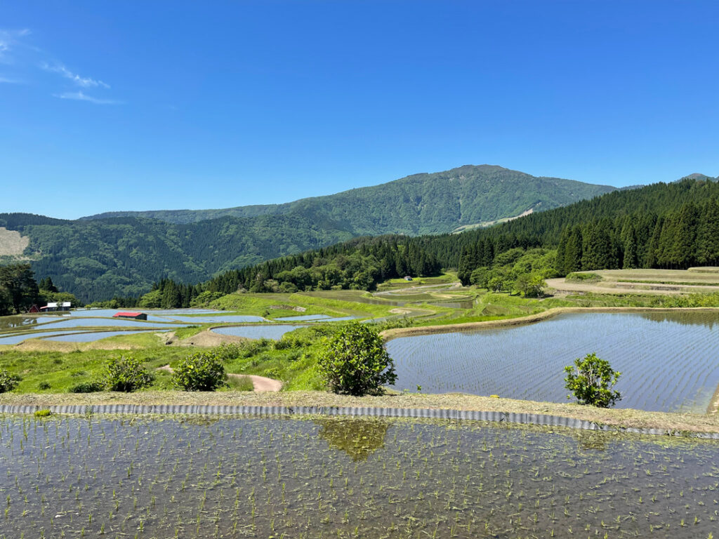 兵庫県の山