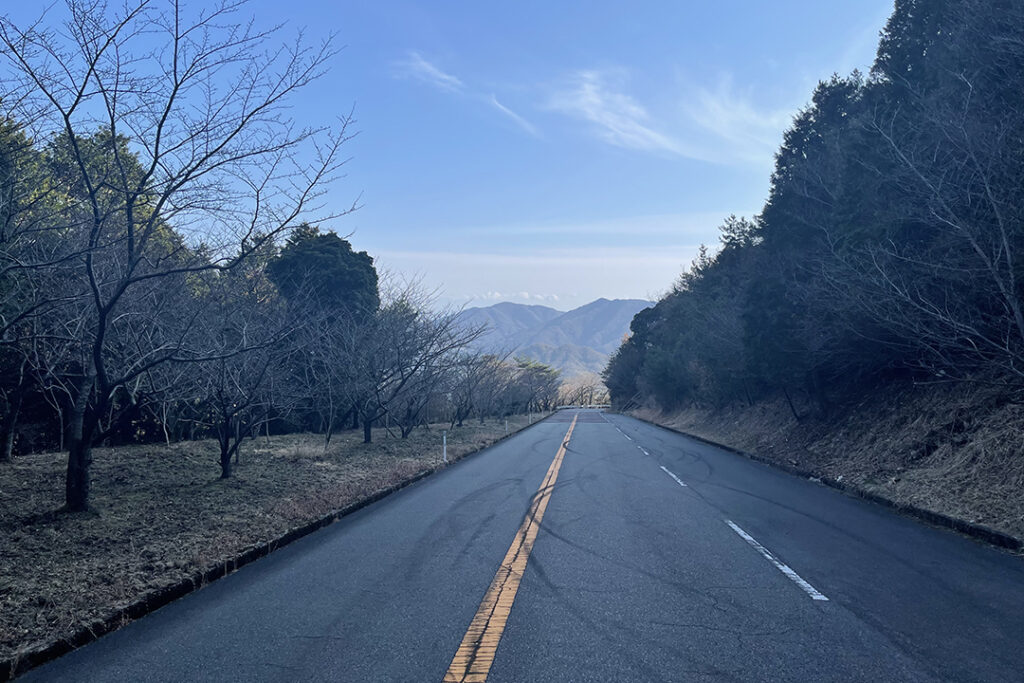 山登りのドライブウェー