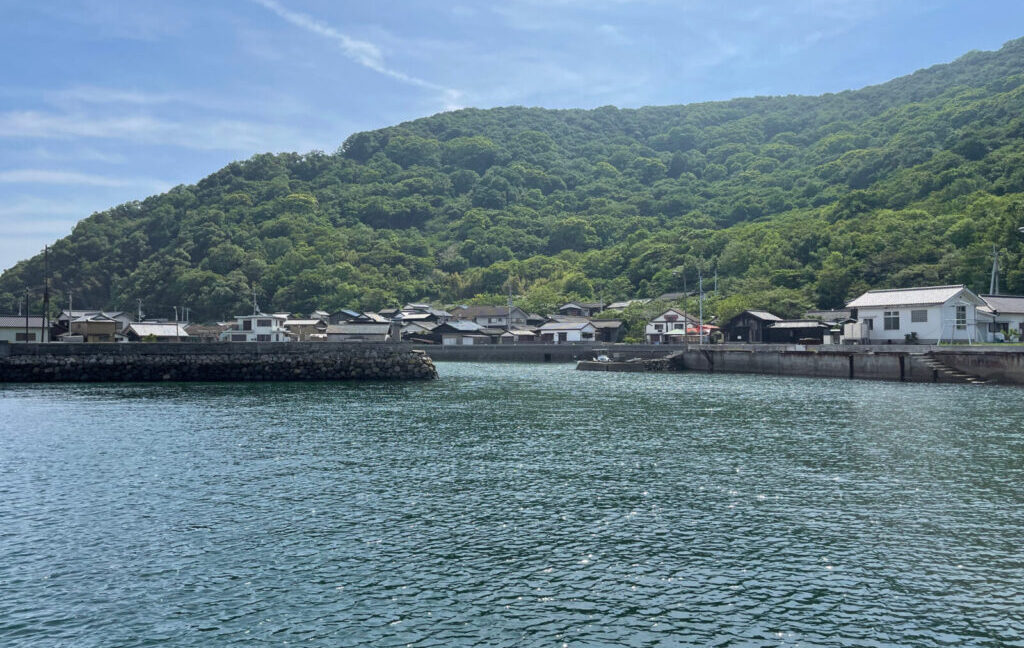 山と瀬戸内海に挟まれた島の風景