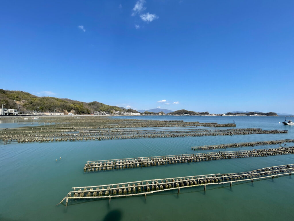 カキ筏が浮かぶ風景