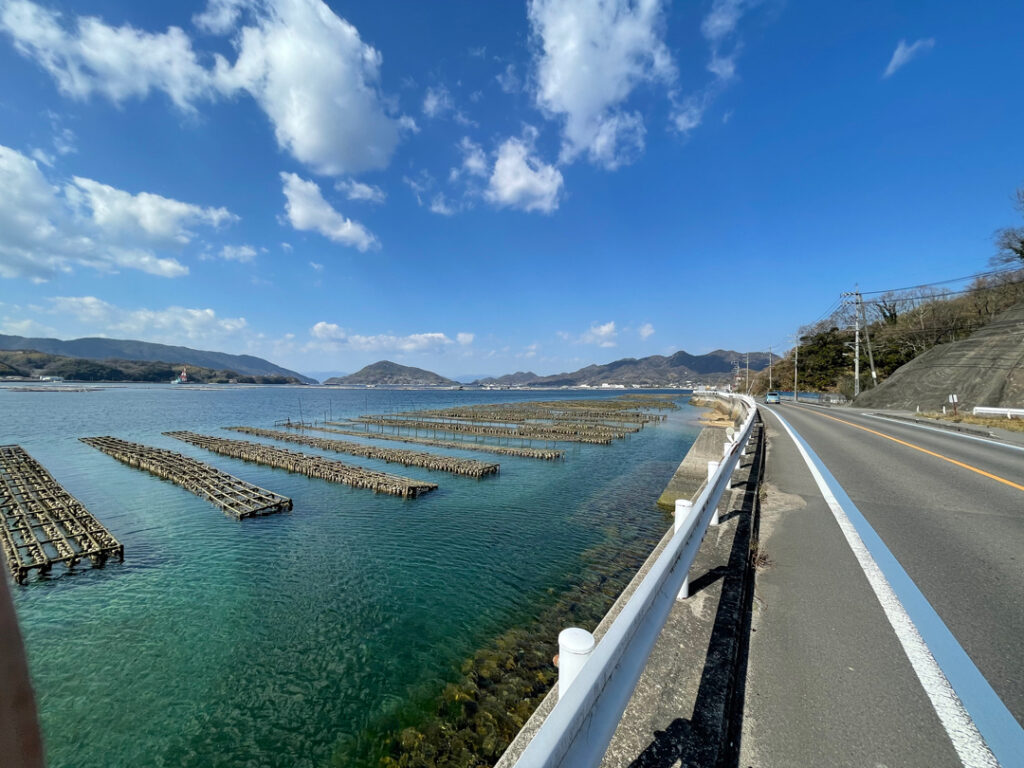 カキ筏が浮かぶ海