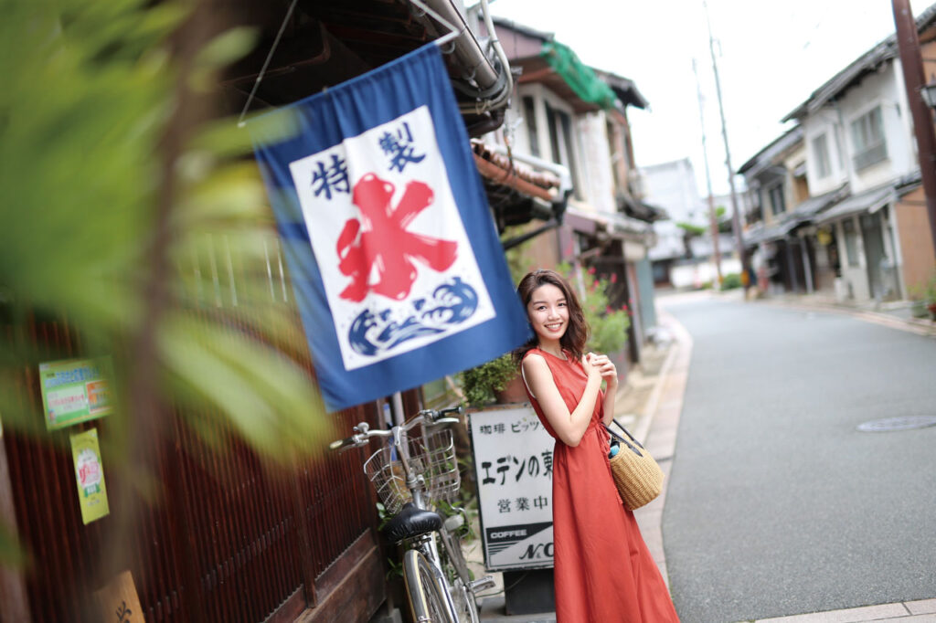 たつの市龍野 伝統的建造物群保存地区