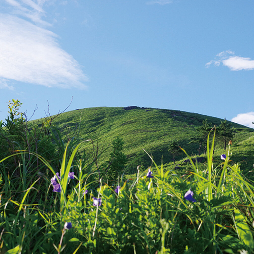 深入山