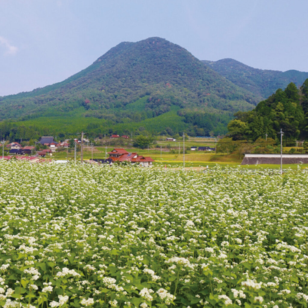龍頭山