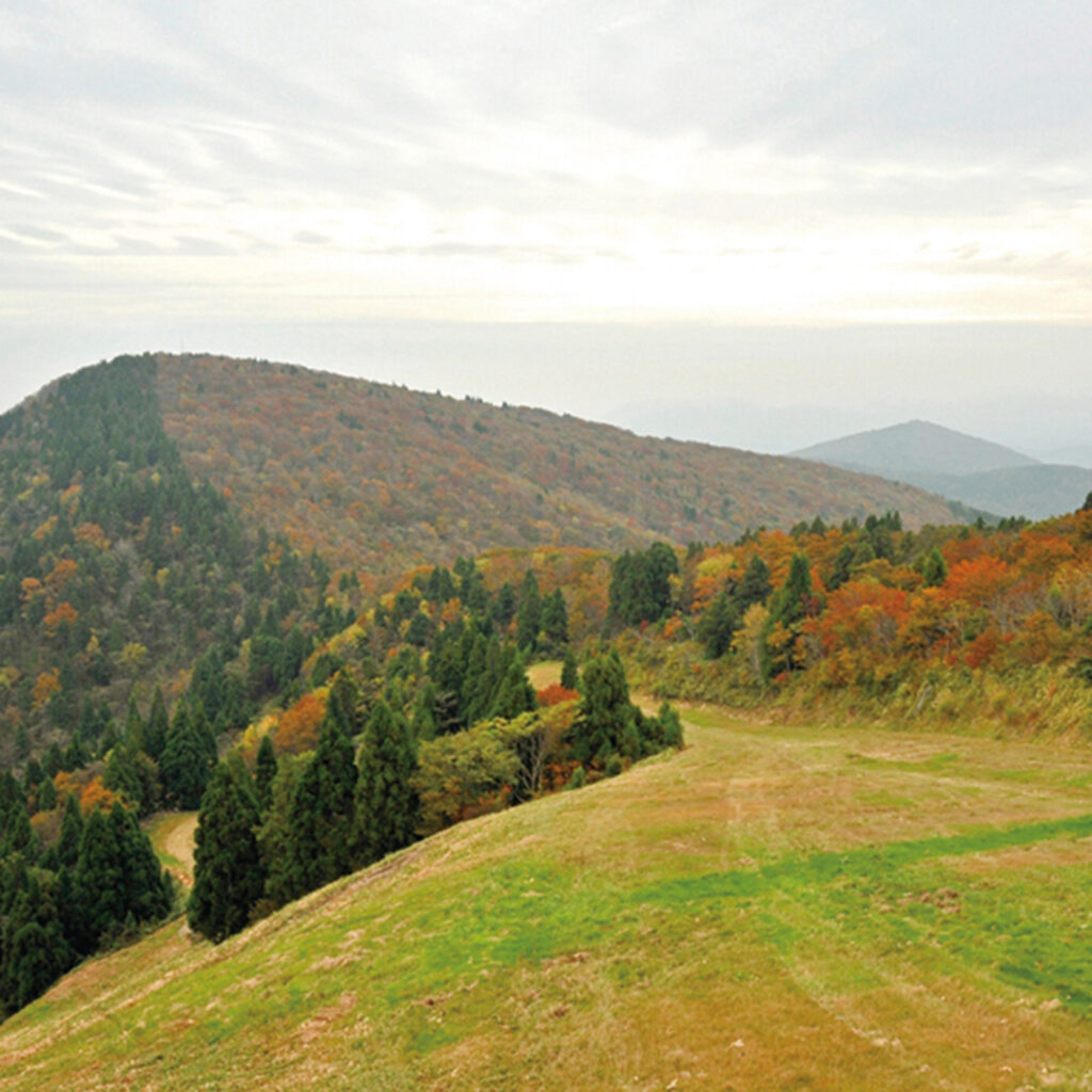 阿佐山