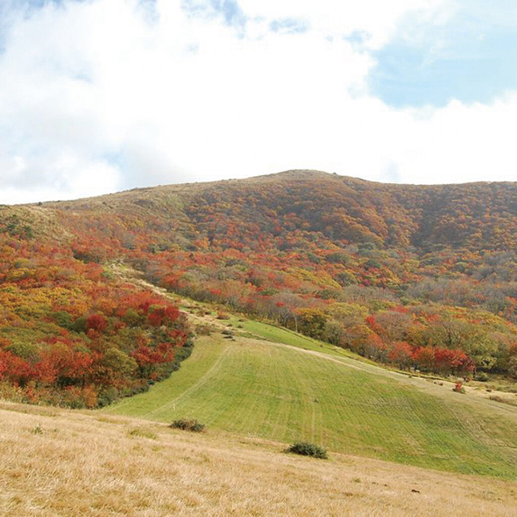 吾妻山