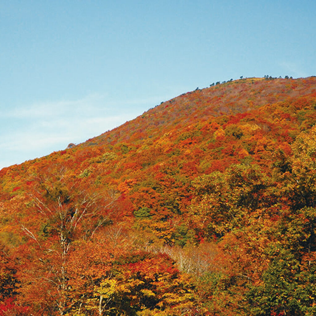 比婆山
