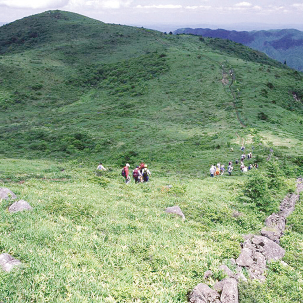 道後山