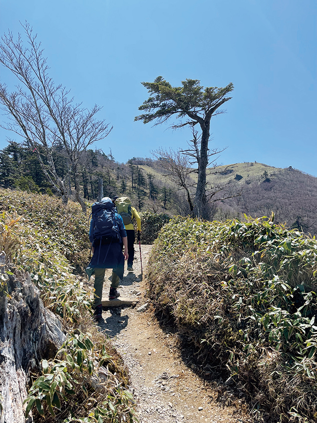 西島駅からいよいよ登山道がスタート