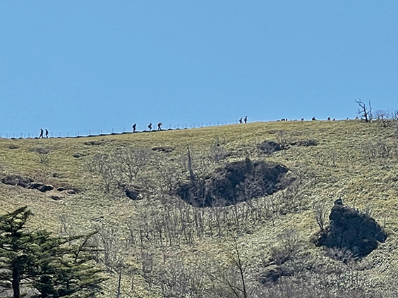 登山道からは山頂付近