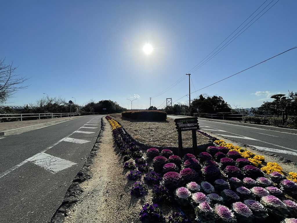 鳴門岬の尾根を走る県道237号